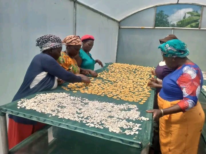 A cottage industry with fruit processing.