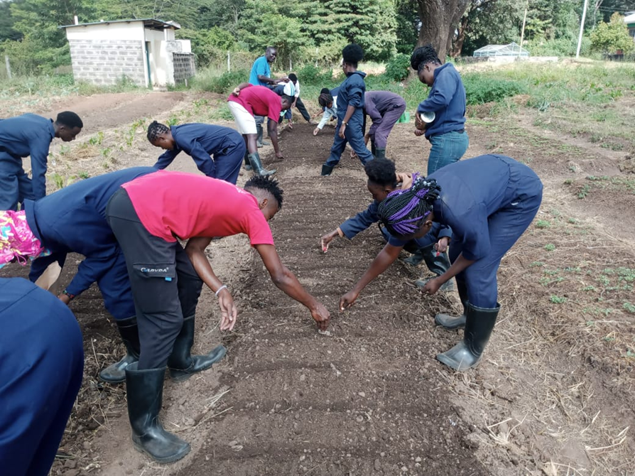 CSAEA Students In the farm.