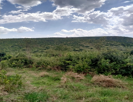 Current Aerial map 2025.