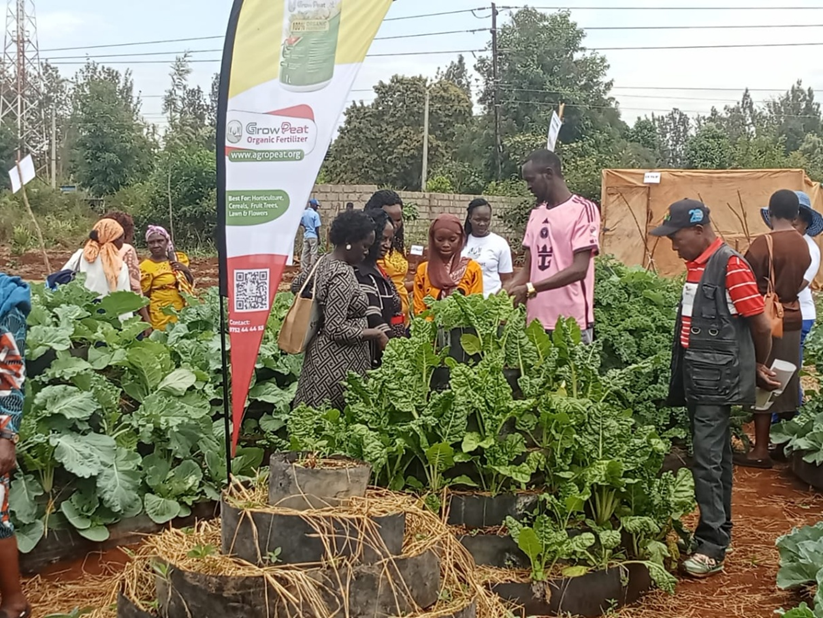 Interns in a field attachment addressing farmers or youth.