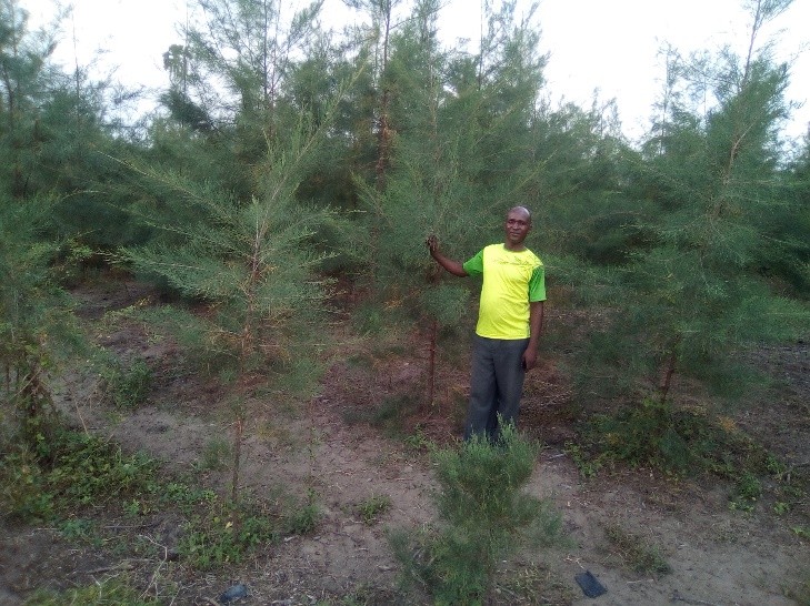 Malishambani shg member in his woodlot